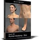 Human Anatomy - Skin