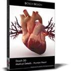 Medical Details - Human Heart